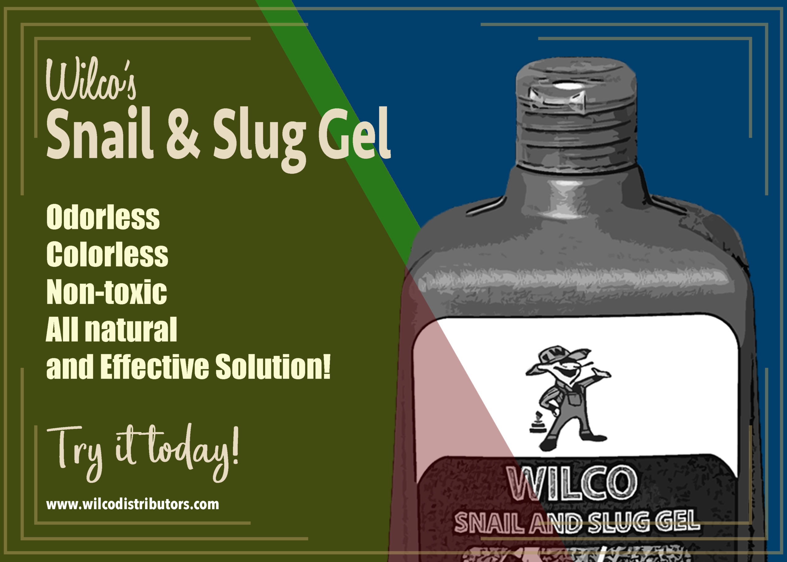 Snails and Slugs?!